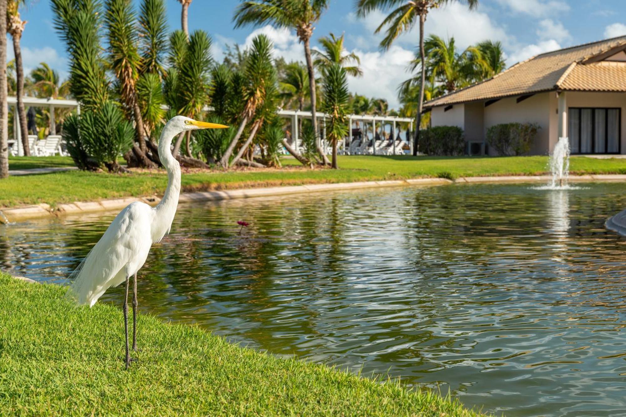 Vila Gale Resort Cumbuco Caucaia Luaran gambar